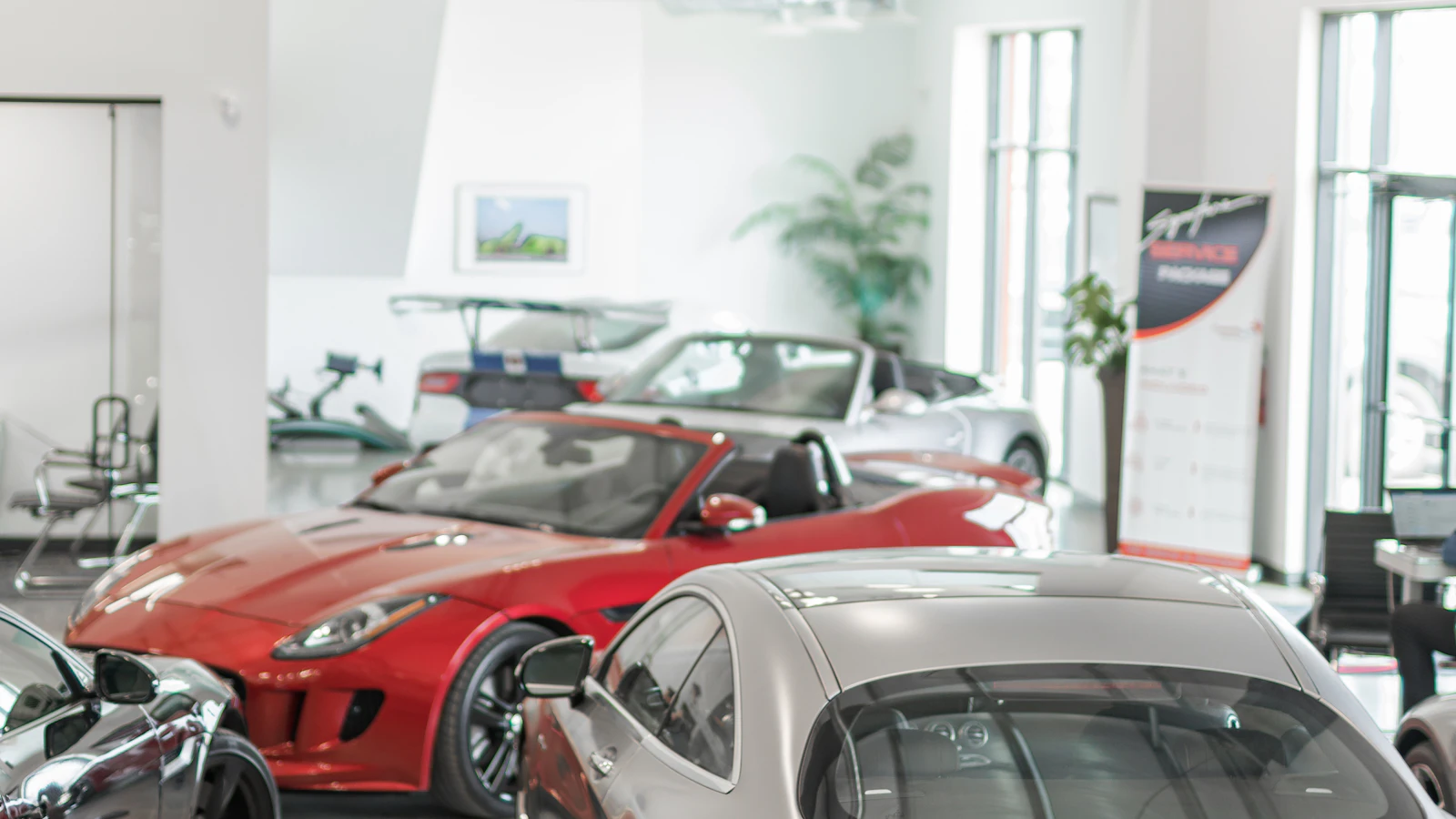 SUV أم سيدان للإيجار؟ كيف تختار السيارة المناسبة لرحلتك